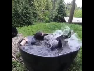 Мишаня кайфует