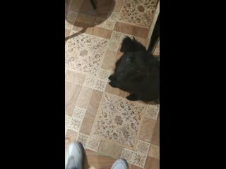 Vid 20201016 131325 mp4