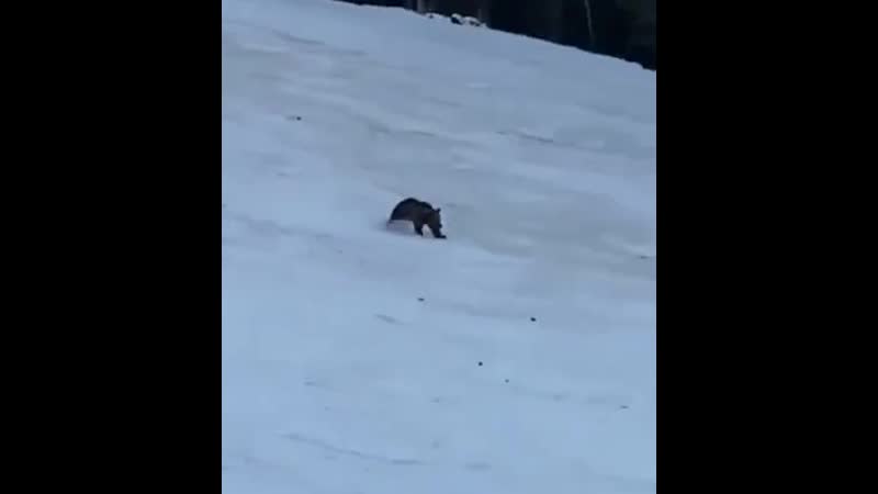 На горнолыжном курорте в румынии "предял" лыжник чудом не побил мировой рекорд по скоростному спуску