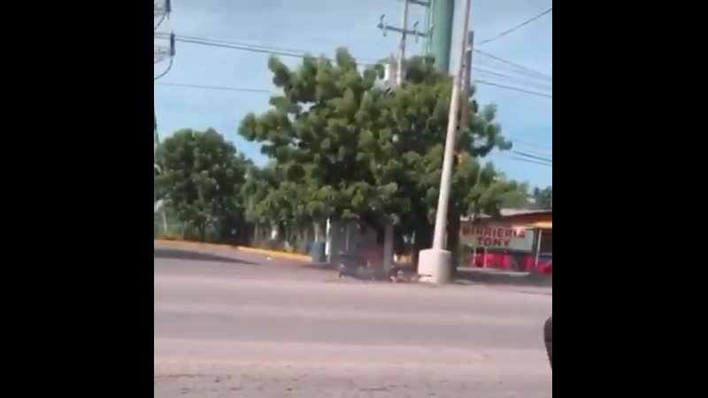 Sicario in culiacán shooting at police with a 50 rifle mexico