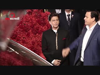 Shahrukh khan and gauri khan royal entry mukesh ambanis daughter isha ambani w