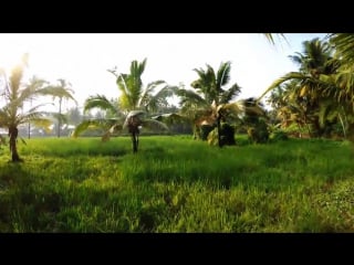 Down the cliff, varkala south india 4k