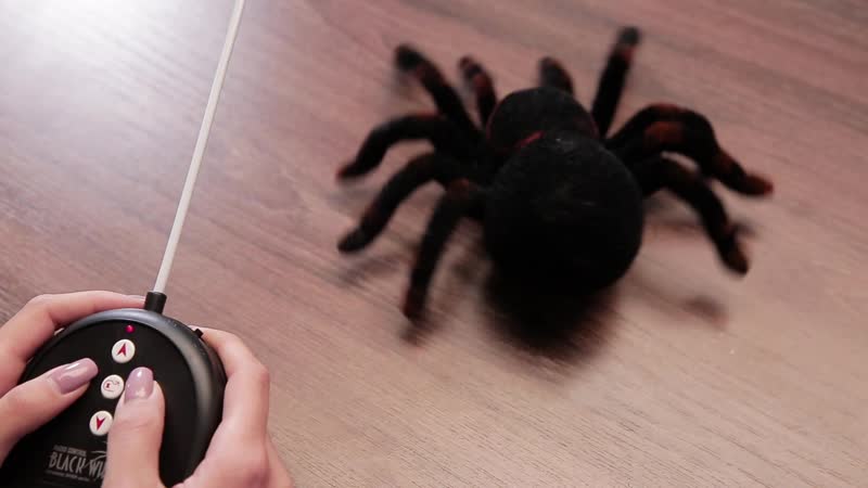 Паук радиоуправляемый wow toys