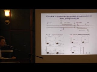 Мазуров д в редактирование генома с помощью crispr cas