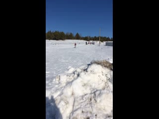 Live тёплая лапа ирбиса