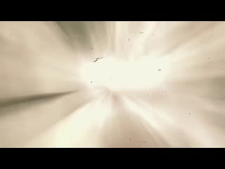Зрелые сучки