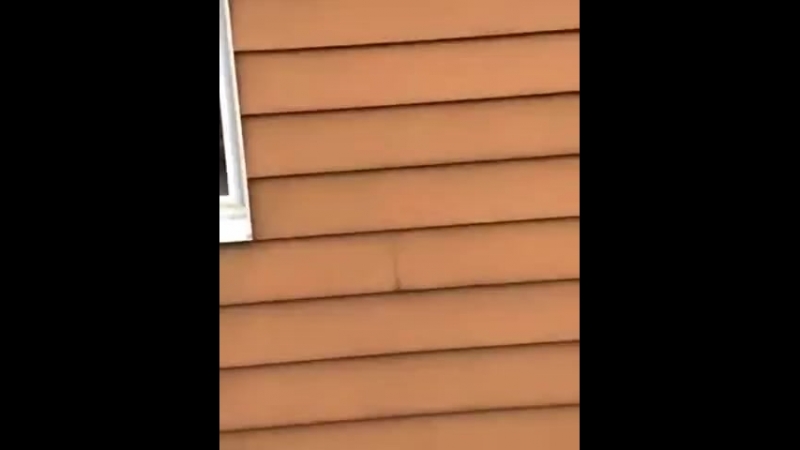 Я слежу за тобой