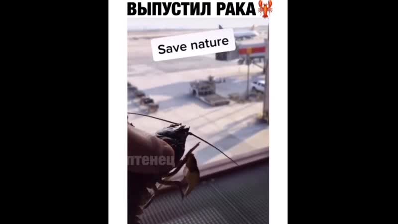 Когда рак свалил с рф, а тебе завтра на завод)