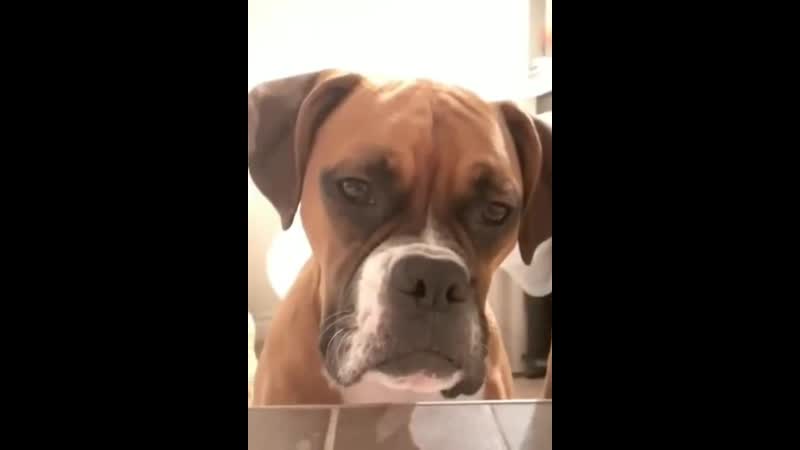 Не дают спокойно принять ванну