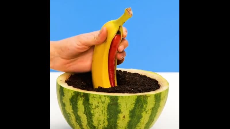 Moya uyutnaya i lyubimaya dacha (3)