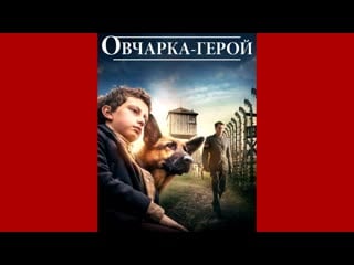 Овчарка герой