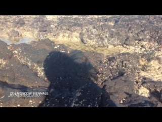 Bazowska natalia invitation moscow biennale 2017