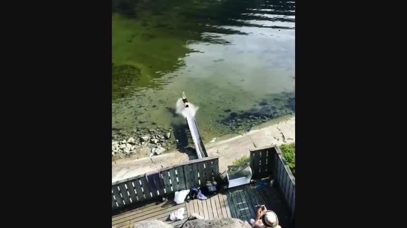 Летняя забава в норвегии 😱😃💦