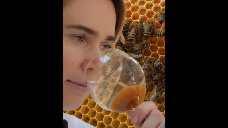 Беларуска з пад горадні адраджае культуру мёду / «лета ў аб'ектыве»