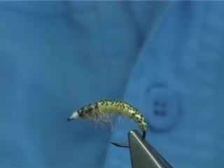 Tying a czech style nymph by davie mcphail