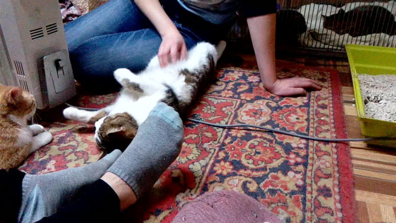 Девочки в изоляторе