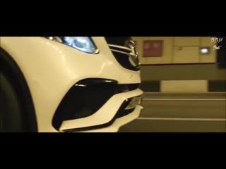 Akula – огромный куст