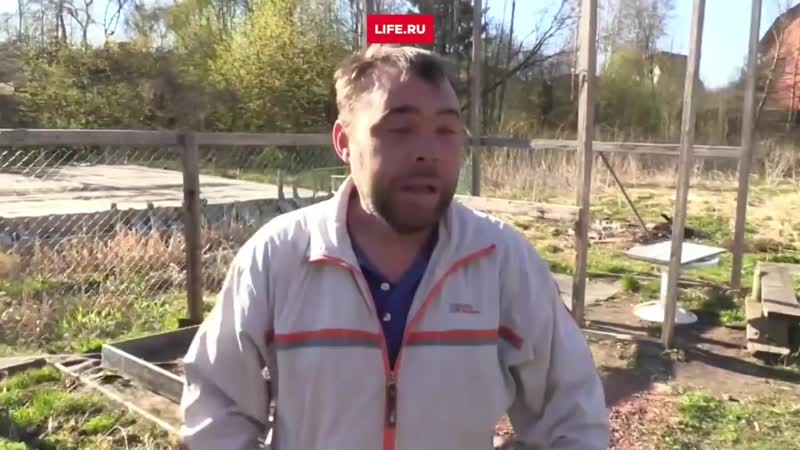 Как говорится сдох максим ну и хуй с ним (с) димон "заминированный тапок"