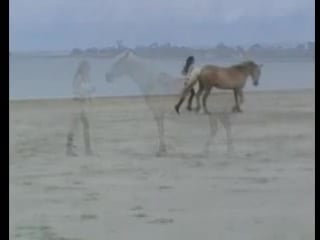 Девушка играет на пляже с лошадью мило **