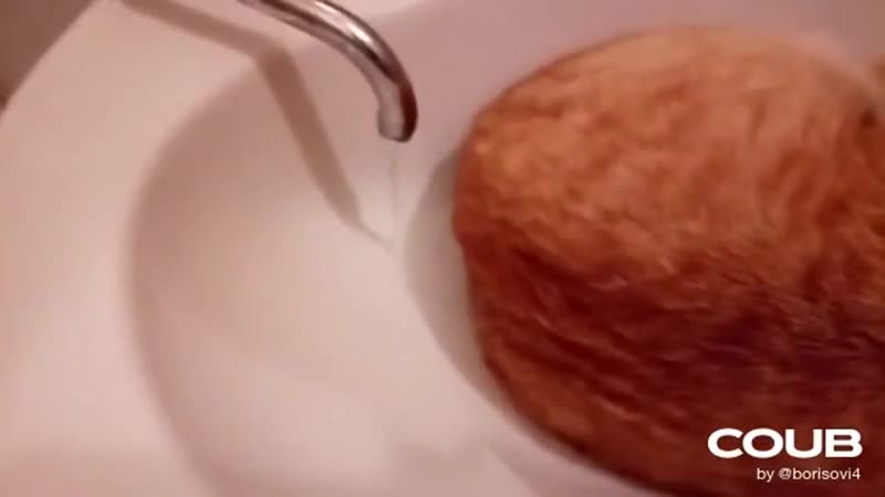 Универсальная заглушка для раковины)))