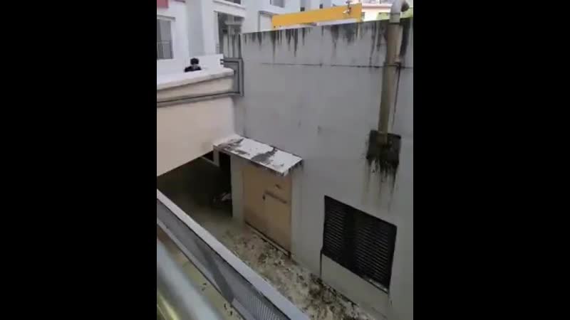 Полет нормальный