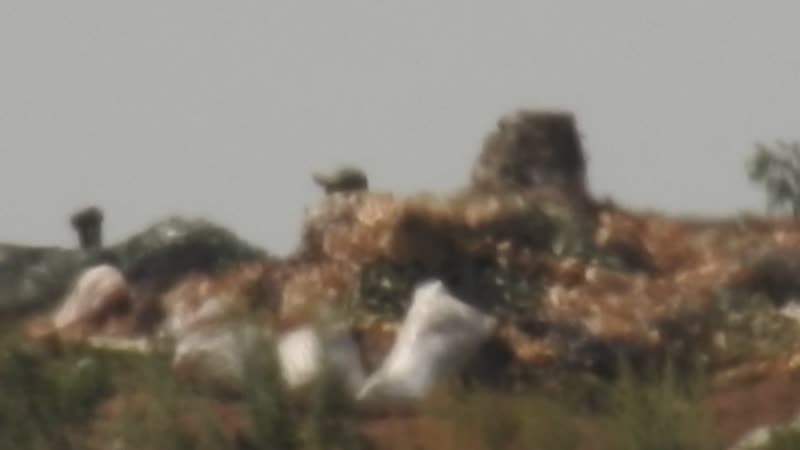 Снайпер всн ликвидировал укрочушку террикон марьинка 670м