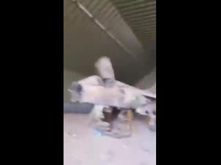 Videos from al wutyah airbase