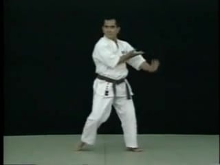 Matsudas shorin ryu karate