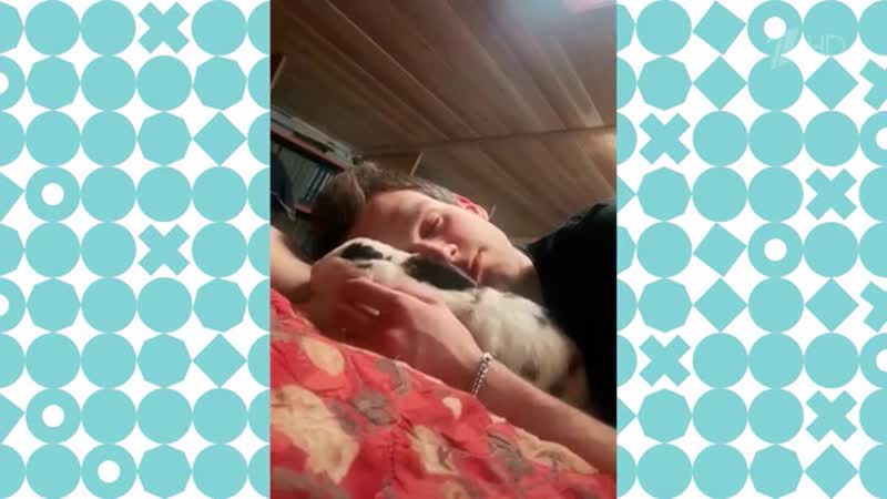 Дрессированная крольчиха видели видео