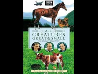 All creatures great small s03e01 plenty to grouse about 1979 x264 dvdrip rus eng