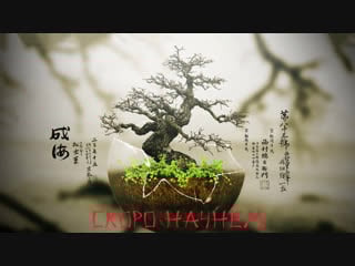 Выполняю челендж с войзом 3 и прочее