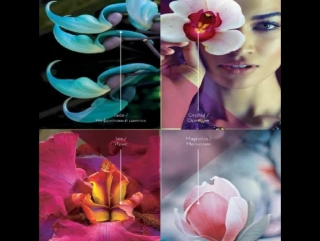 Mona liza premium collection secret gardens by serg look