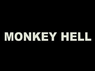 The reporters monkey hell