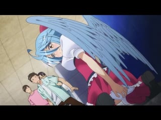 Anime monster musume papi harpy (monster girl anime) 2836644