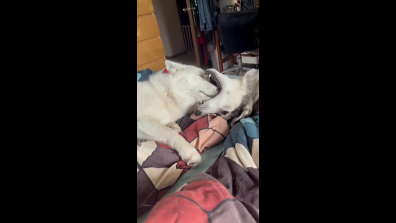 Открывайте ротик шире😝