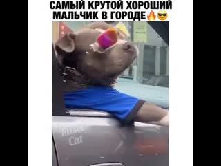 Крутость этого парня зашкаливает🤪