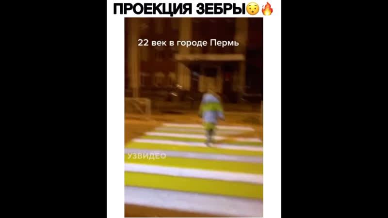 Проекция зебры