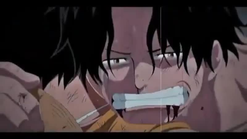 One piece ⊱ vine ⊰ ace portgas d x sabo x luffy monkey d