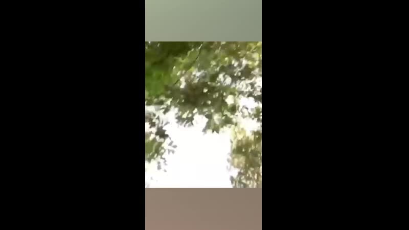 Разрешите я присяду паша техник