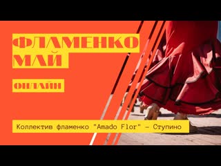 Amado flor (ступино) кантинья