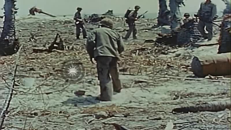 Marines porn video – Battlefield scenes of us marines combating japanese forces on eniwetok island stock footage