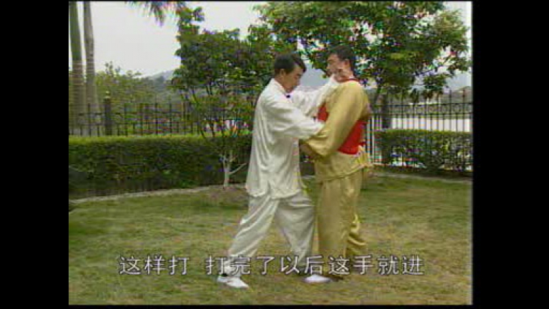 Тунбей цюань с мастером zhao jian guo (1 5) часть 1 1