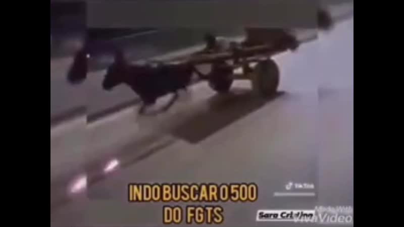 Ахуевший бабкин внук