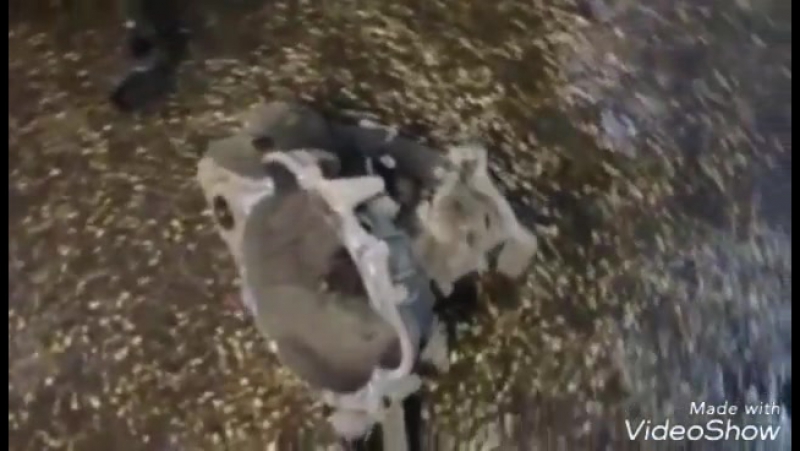 Ремонт мкпп на lifan x60