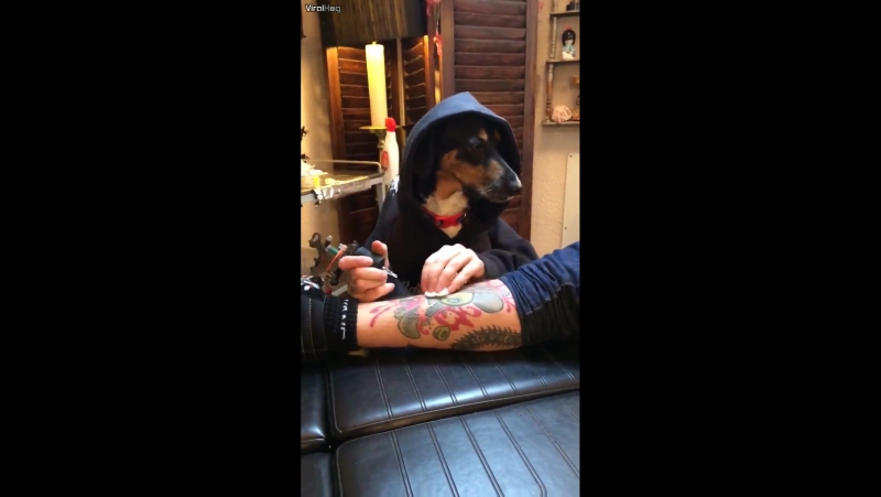 Татуировщик