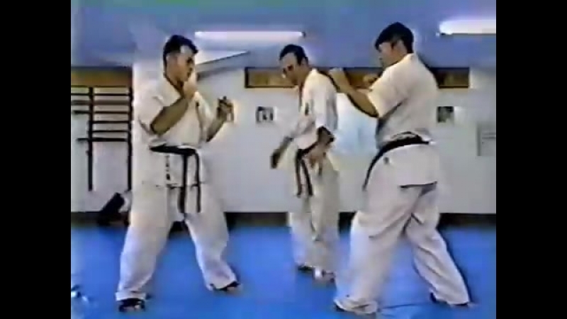 Hiroshigi the best of kyokushinkai kumite 3