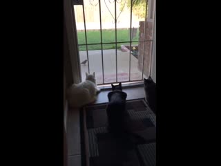 It’s a nice day for chilling and watching the bird goes by goddammit frank!