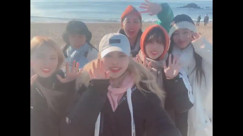 Стафф вики мики