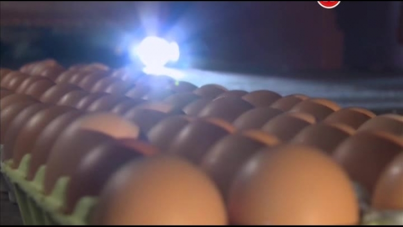 Наука 2 0 exперименты с антоном войцеховским самый прочный (2014)