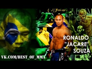 Ronaldo "jacare" souza highlights